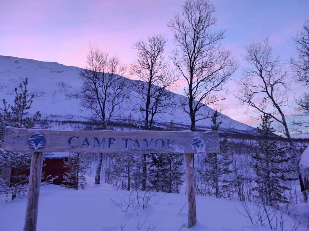Dog sledding at Camp Tamok in Tromso, Norway | Why it's a must and how to plan your trip, what to do in Tromso, what to do in Norway | Tromso is 200 miles north of the Arctic Circle & perfect to visit for the Northern Lights and more! #dogsledding #tromso #norway