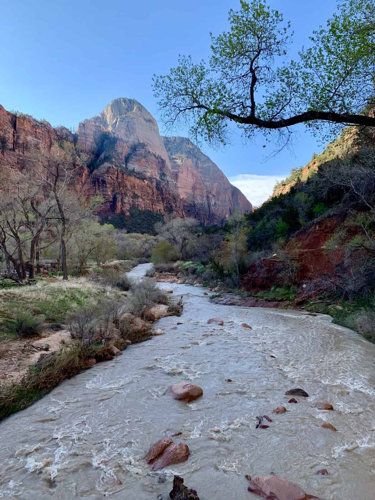 How To Plan a Visit to Zion National Park During COVID | If you're wanting to visit Zion during COVID, it's important to plan ahead and know about the changes and restrictions. What you need to know about Zion shuttle tickets, shuttle stop closures, alternative ways to visit, and more! What to do in Zion. #nps #zion #covidrestrictions #traveltips #zionnationalpark