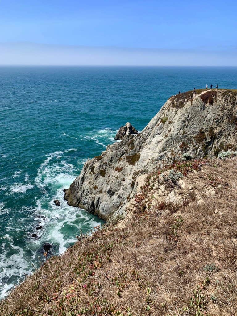 Hiking California's Gorgeous Bodega Head Trail (Sonoma Coast) | This easy and accessible hike on northern California's Sonoma Coast is a must-do if you're visiting the area. What to expect from Bodega Head Trail, where to hike in Sonoma County, best California coast hikes, and more! 