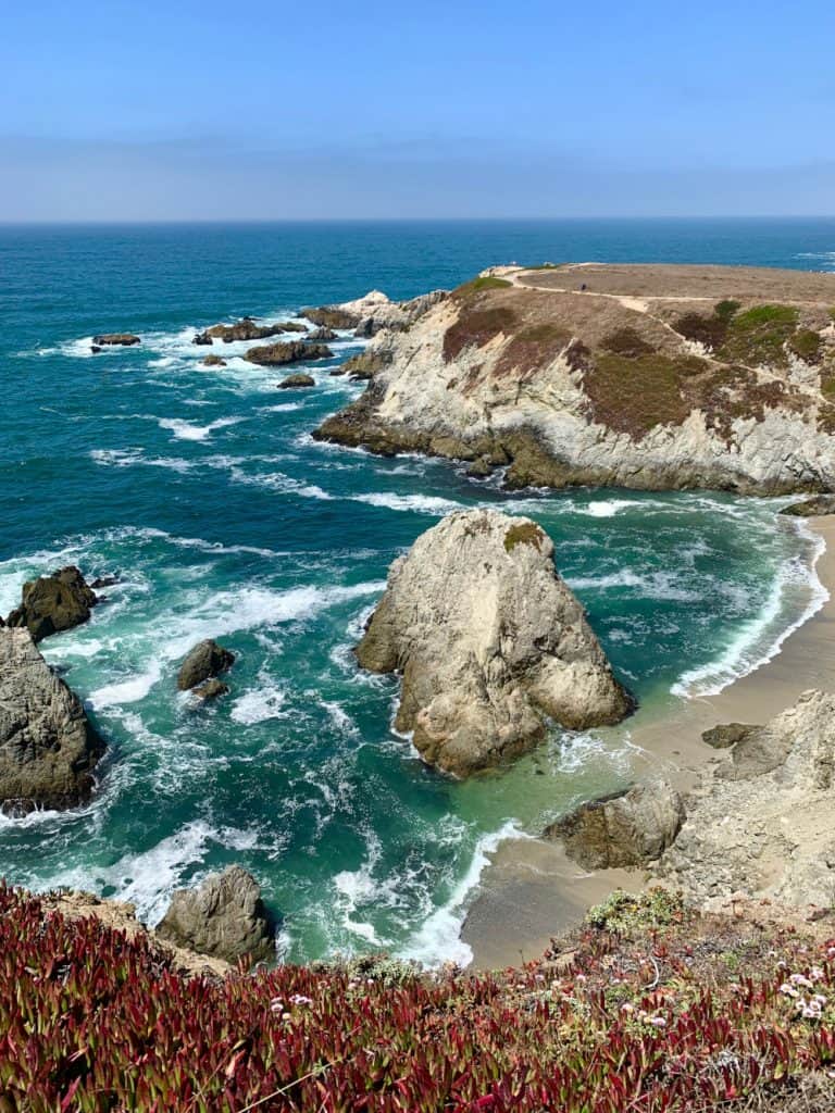 Hiking California's Gorgeous Bodega Head Trail (Sonoma Coast) | This easy and accessible hike on northern California's Sonoma Coast is a must-do if you're visiting the area. What to expect from Bodega Head Trail, where to hike in Sonoma County, best California coast hikes, and more! #sonomacoast #hiking #california