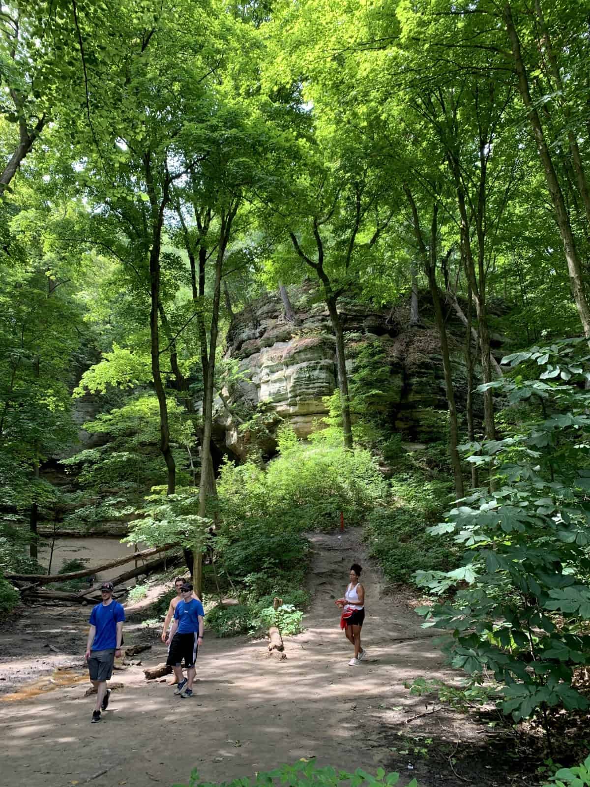 Discover Scenic Beauty: Top 20 Day Trips from Chicago - Natural Wonders and Hiking Trails at Starved Rock State Park