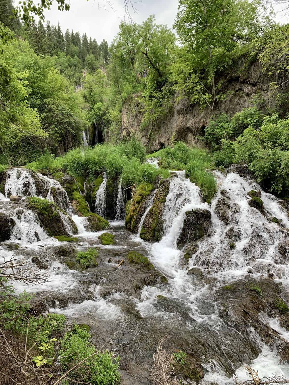 A Day Trip Along Spearfish Canyon Scenic Byway, South Dakota | If you're planning a South Dakota road trip or spending time in the Rapid City area, Spearfish Canyon is a great under-the-radar option for exploring. Easily accessible waterfalls, towering limestone canyon walls, and much more. #southdakota #rapidcity #spearfishcanyon #roadtrip #blackhills