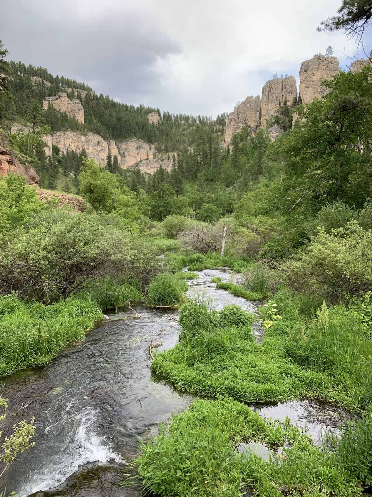 Explore the waterfalls and beautiful canyon walls of Spearfish Canyon Scenic Byway, South Dakota | One Girl, Whole World