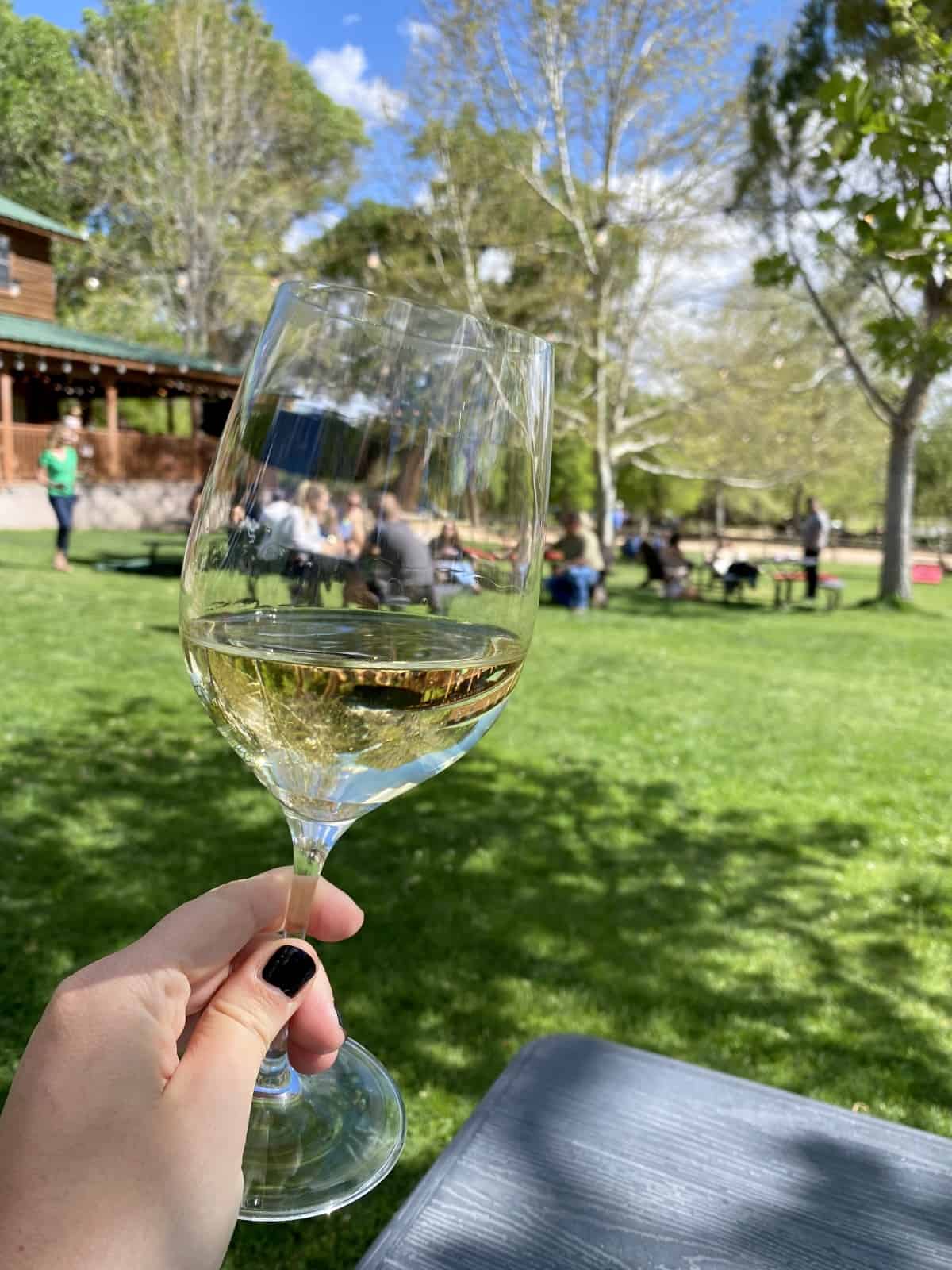 A Guide to Sedona Wineries | Wine tasting in Sedona, Arizona, was quite a surprise and makes a perfect day trip from Sedona. Most of these wineries are only 20 minutes from downtown Sedona and are a lovely day of wine, music, & scenery. Arizona wineries you should visit, what to do in Sedona! #sedona #wineries #arizona