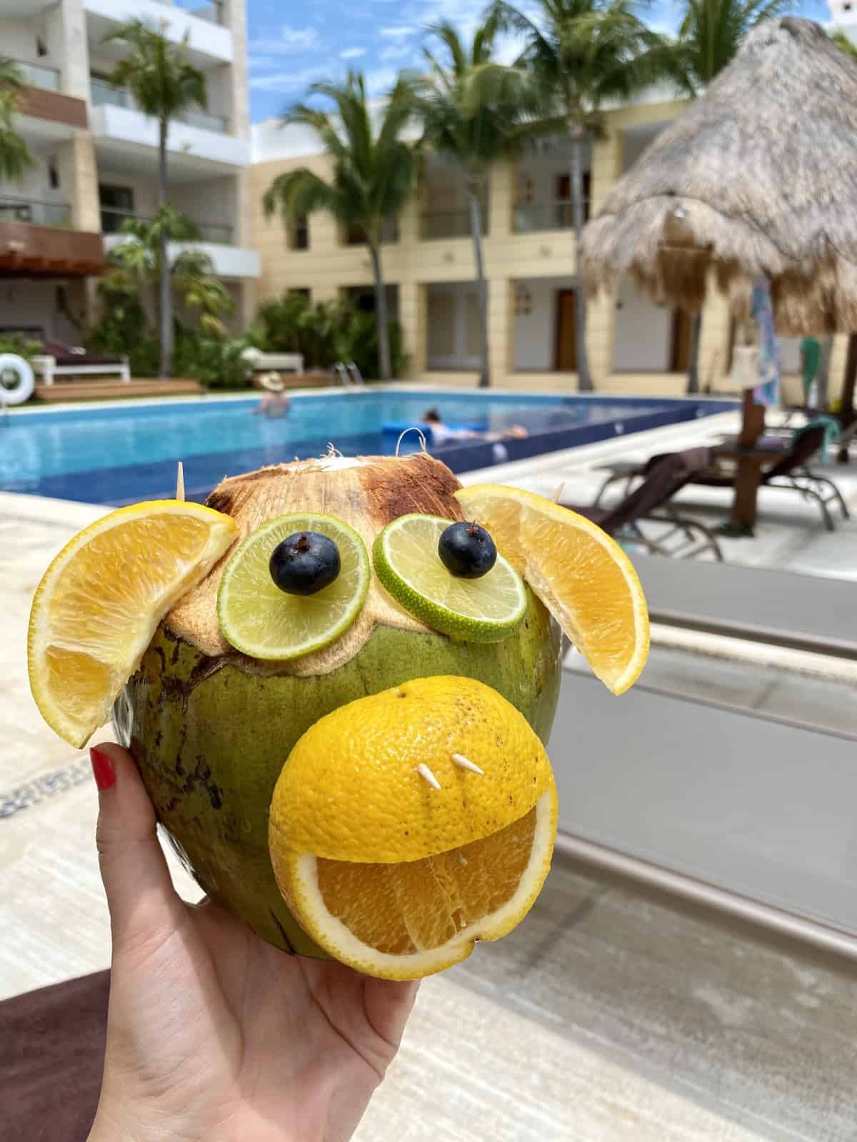 Best luxury all-inclusive resorts in Mexico, Caribbean, Costa Rica - Excellence Playa Mujeres (EPM) is a great adults-only option - coconut monkey drink