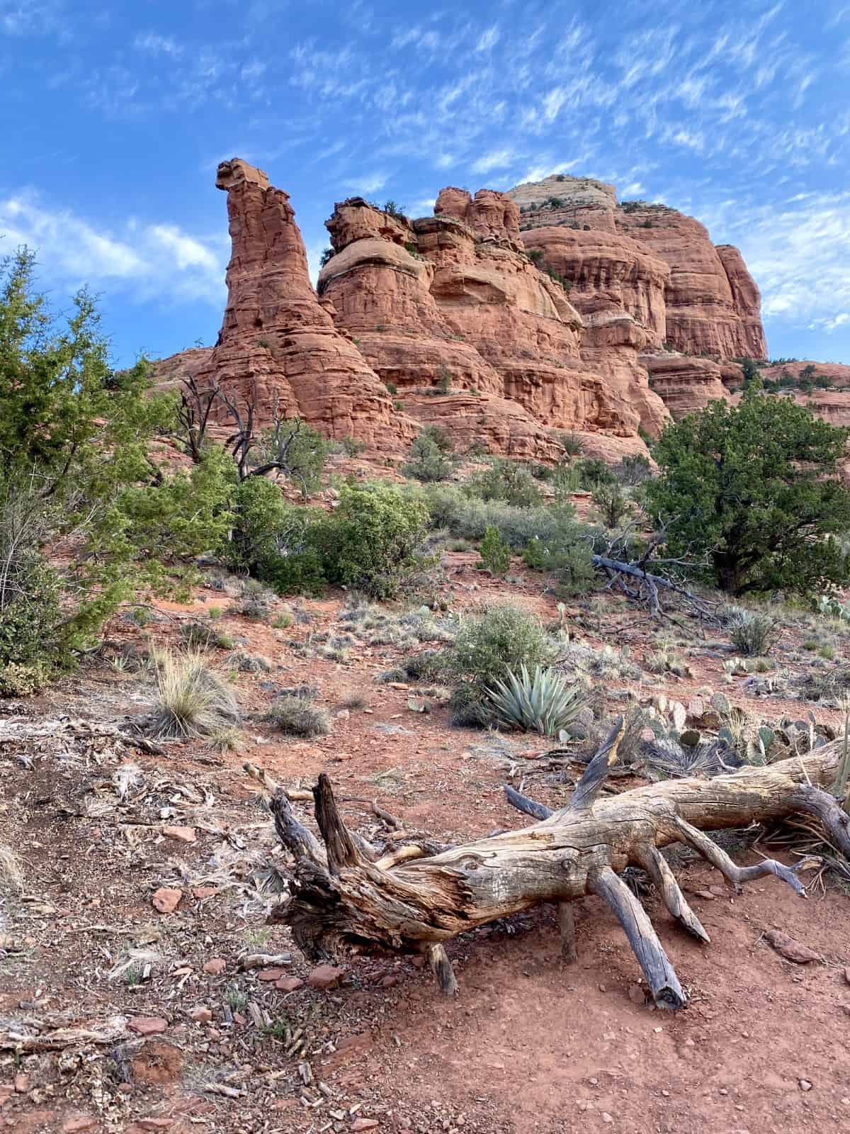 Sedona Hikes: What to Do & What to Skip | If you're visiting Sedona, Arizona, the hiking is a major part of exploring the area, and there are so many to choose from! Cathedral Rock, Kachina Woman, Boynton Canyon, Sugarloaf Loop, Airport Mesa, Fay Canyon, & more...the Sedona hiking trails I loved, the ones I'd skip, & a few Sedona hiking tips. Best Sedona hikes, overrated Sedona hikes, & more. #sedona #hiking #arizona