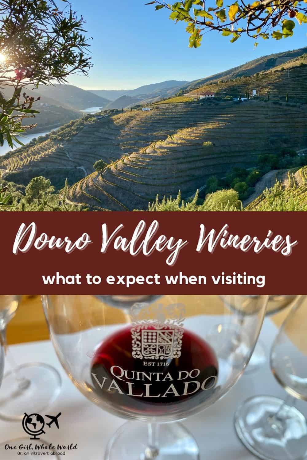 Douro Valley Wineries: A Must on a Portugal Itinerary | If you're visiting northern Portugal then the Douro Valley and its port wineries have to be on your trip itinerary. I visited 3 different quintas (Quinta do Vallado, Quinta do Bomfim, and Quinta Nova), here's a look at my experience. Visiting port wineries, a great day trip or longer from Porto. #dourovalley #portugal #porto #portwine #winery