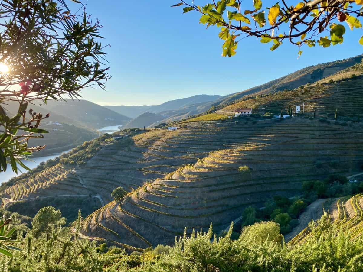 Visiting Douro Valley wineries - watching the sunset from Quinta Nova