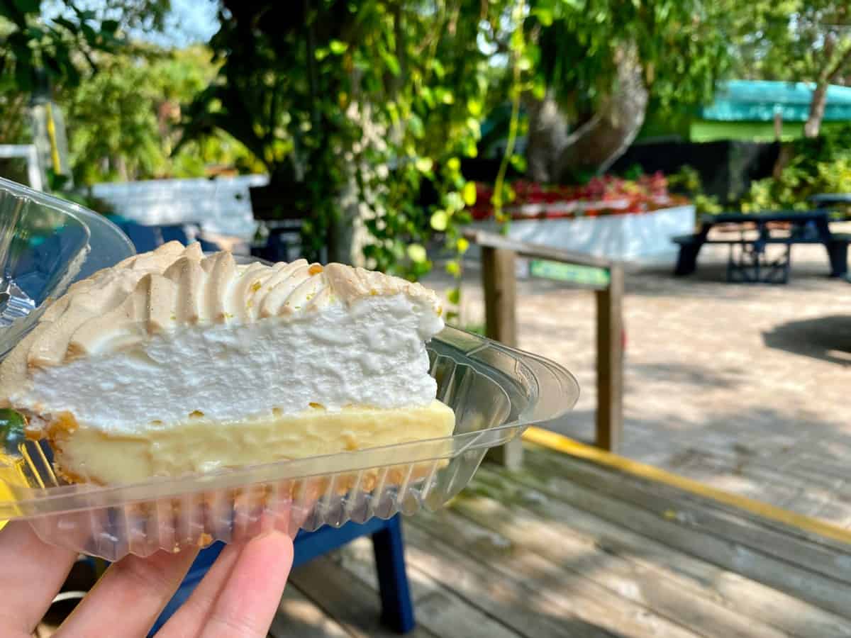 The Best Key Lime Pie in the Florida Keys | Finding the best key lime pie in Key Largo, Key West, and beyond...I tried 15+ key lime pies throughout the keys & here is my definitive ranking, with detailed notes on each pie. What to do in Florida Keys, where to eat Florida Keys, best key lime pie in Key West. #keylime #floridakeys 
