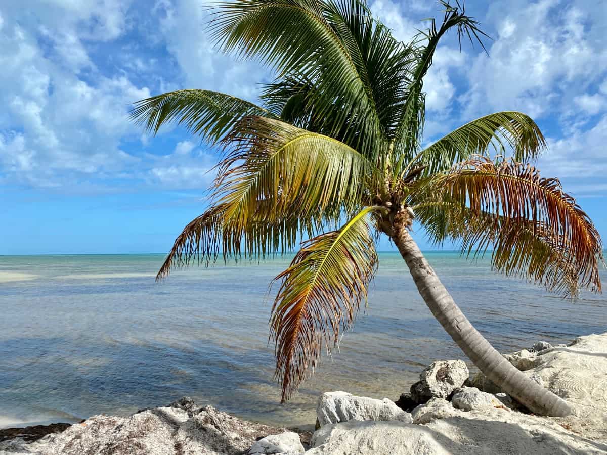 where to stay florida keys,best places to stay in marathon florida,florida keys where to stay,best hotels marathon florida,grassy flats resort
