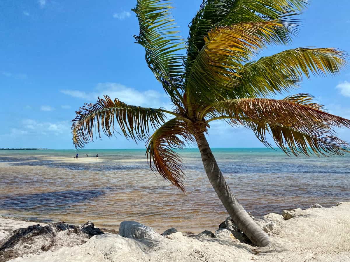 Where to stay Florida Keys - Grassy Flats is one of the best hotels in Marathon Florida - nice beach