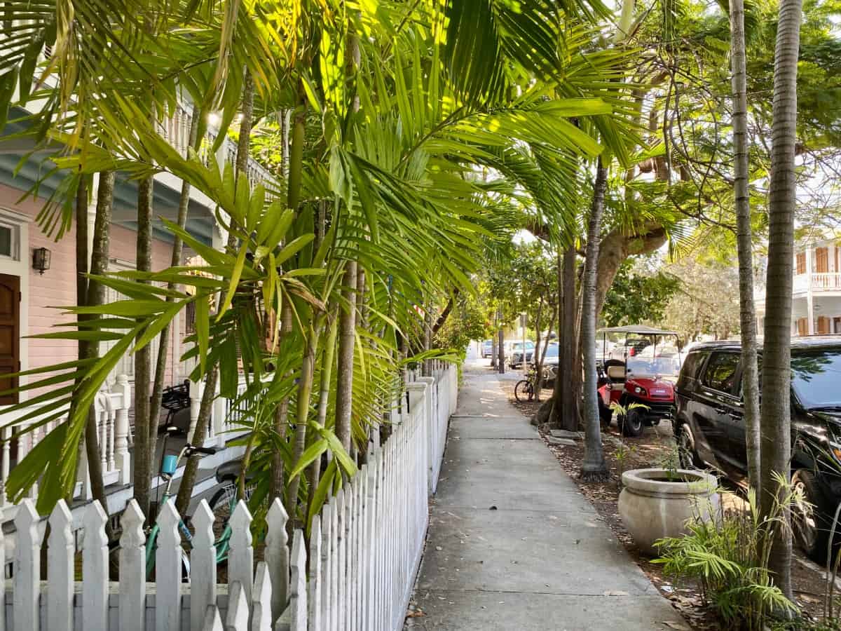 Things to do in Key West, Florida - wander up and down the streets looking for quirk