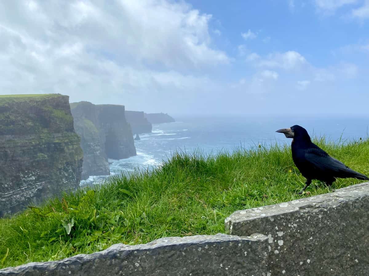 Why You Should Skip the Cliffs of Moher & Where to Go Instead | The Cliffs of Moher are one of Ireland's most iconic tourist sites, but there are way better sea cliff options. How to visit the Cliffs of Moher, & the best alternatives to the Cliffs of Moher. Why Dun Aengus cliffs, Loop Head, Slieve League, & more are way better options. Ireland travel tips, Ireland itinerary, County Clare. #visitireland #ireland #cliffsofmoher #loophead #aranislands