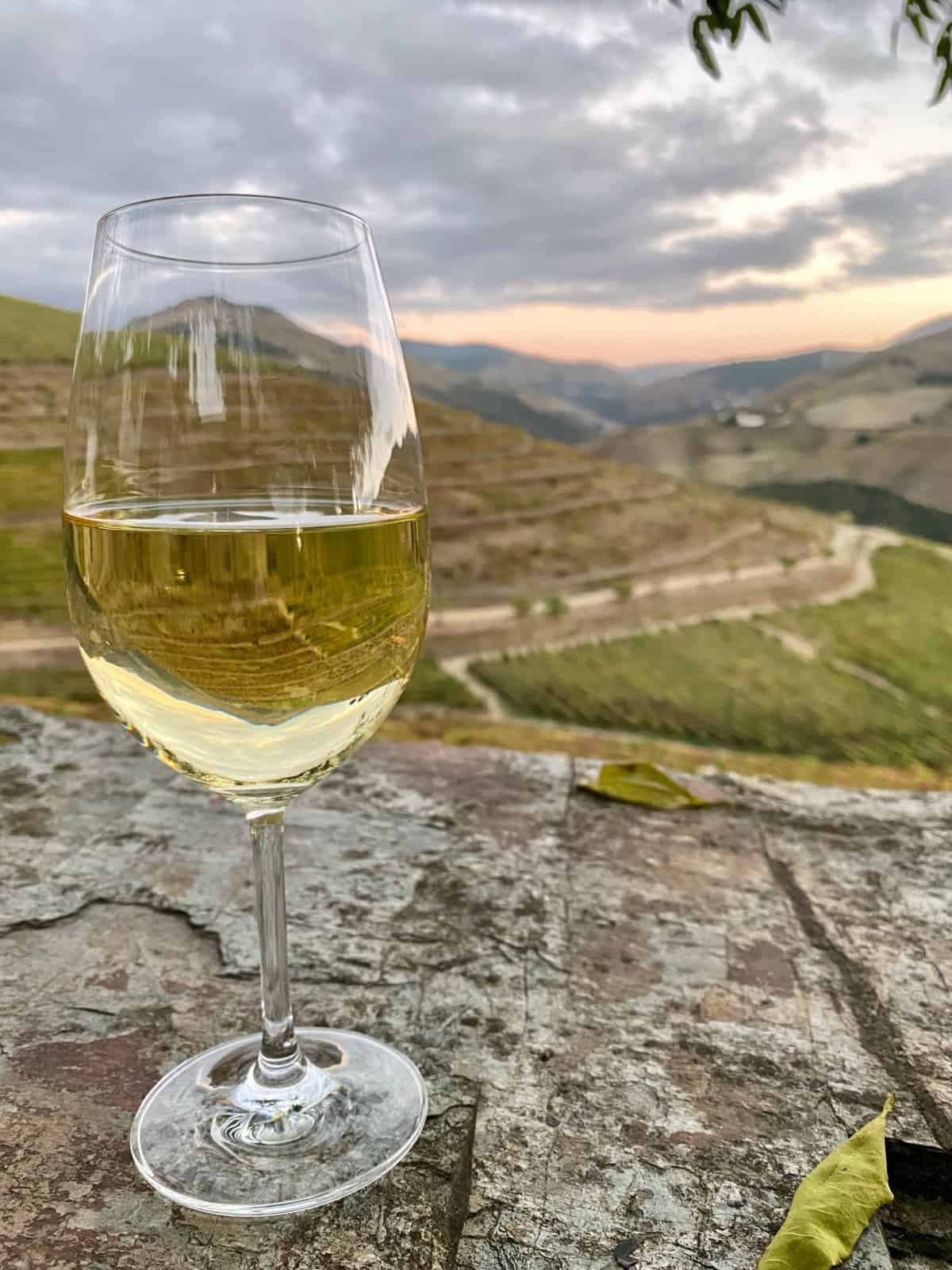What to Do in the Douro Valley, Portugal | If you're visiting northern Portugal, the historic & gorgeous Douro Valley wine region is a must-visit. Here's a guide to planning an amazing Douro Valley itinerary, what to do in the Douro Valley, best wineries, where to stay Douro Valley, history, culture, scenic viewpoints, & more! 