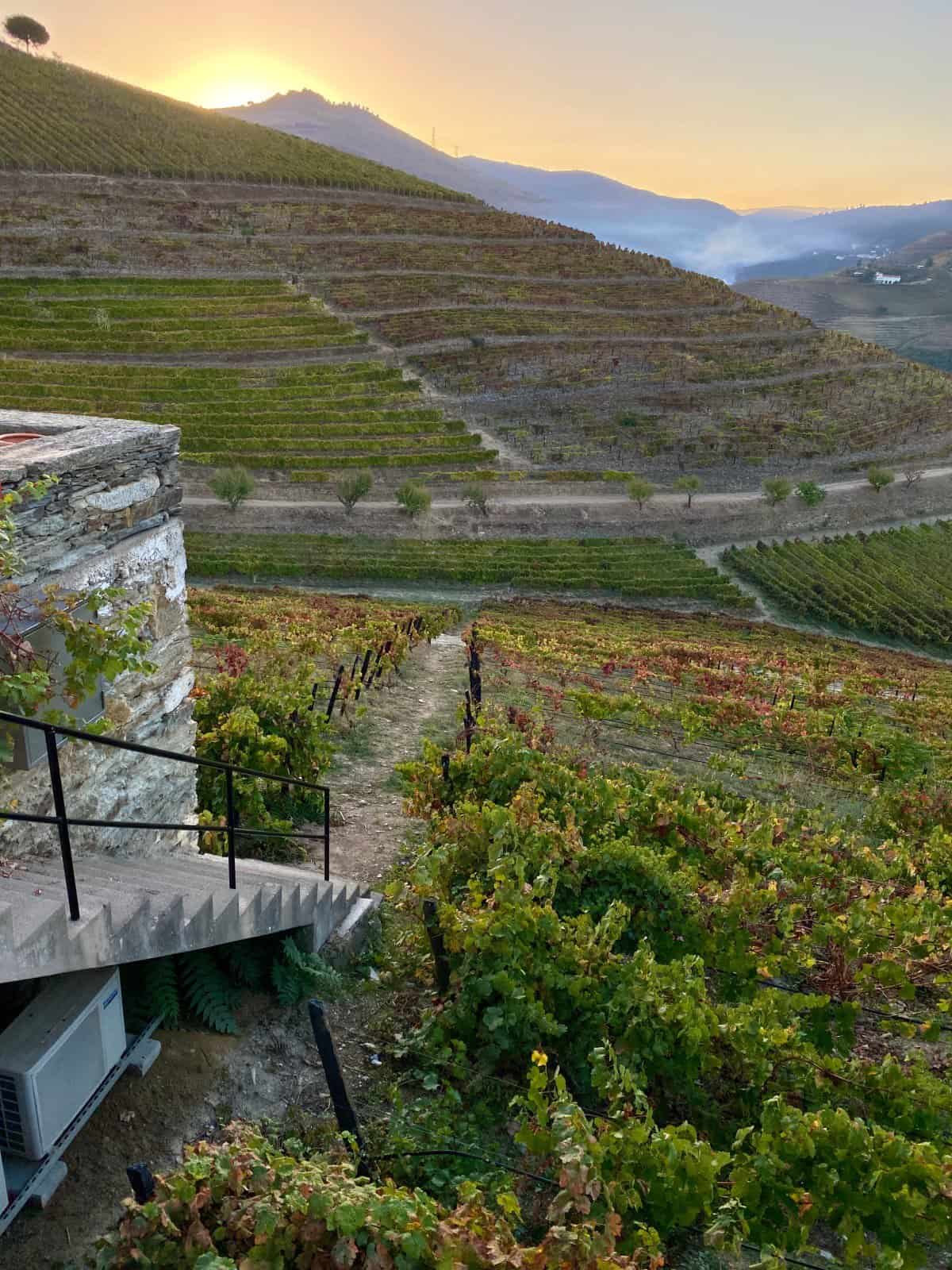 What to Do in the Douro Valley, Portugal | Stay in a centuries-old winery like Quinta Nova.