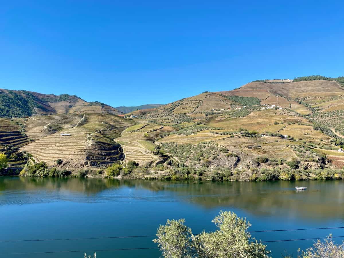 Things to Do in the Douro Valley, Portugal - drive the famous scenic N222