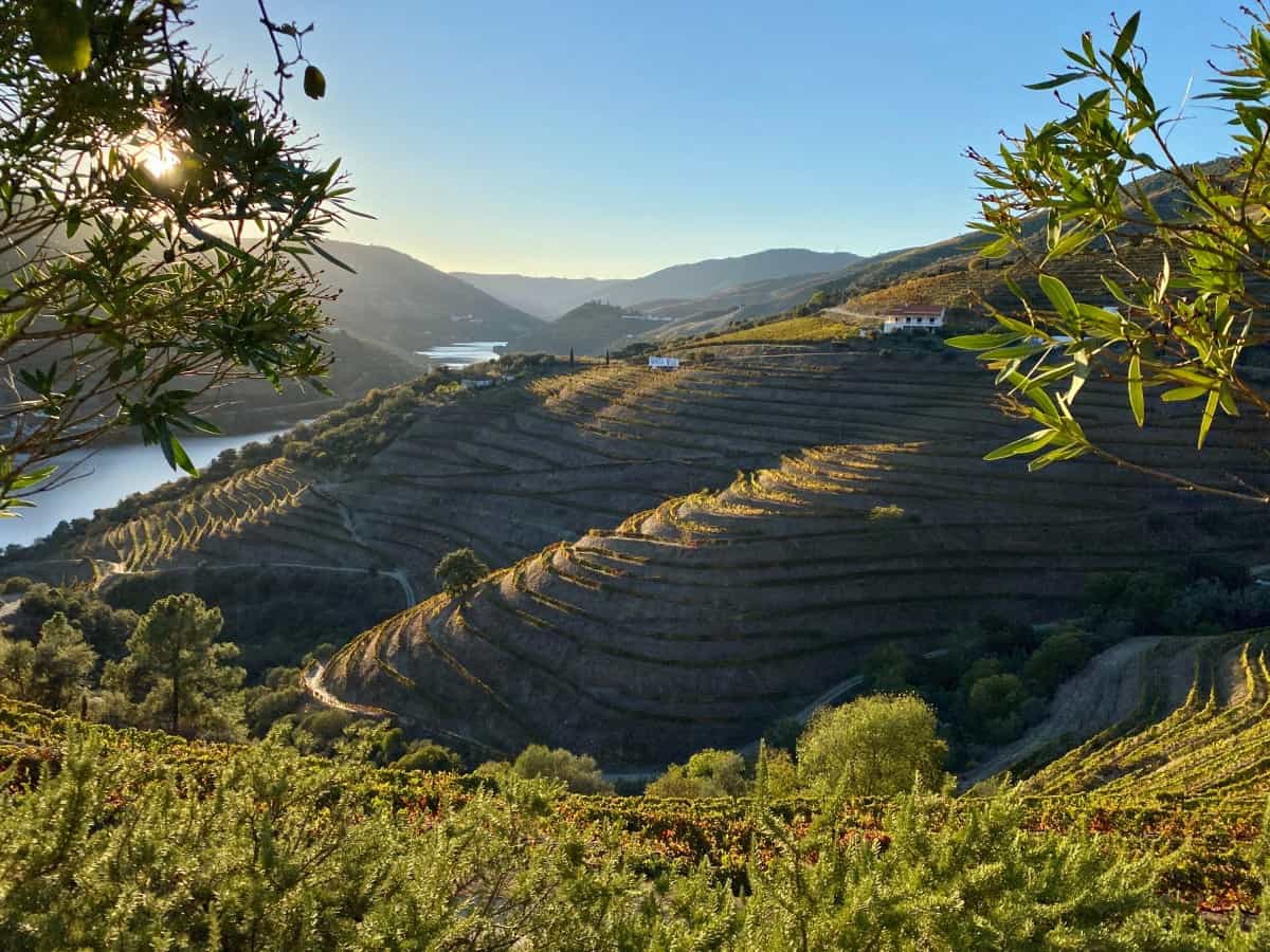 Things to Do in the Douro Valley, Portugal - stay in a centuries-old winery like Quinta Nova
