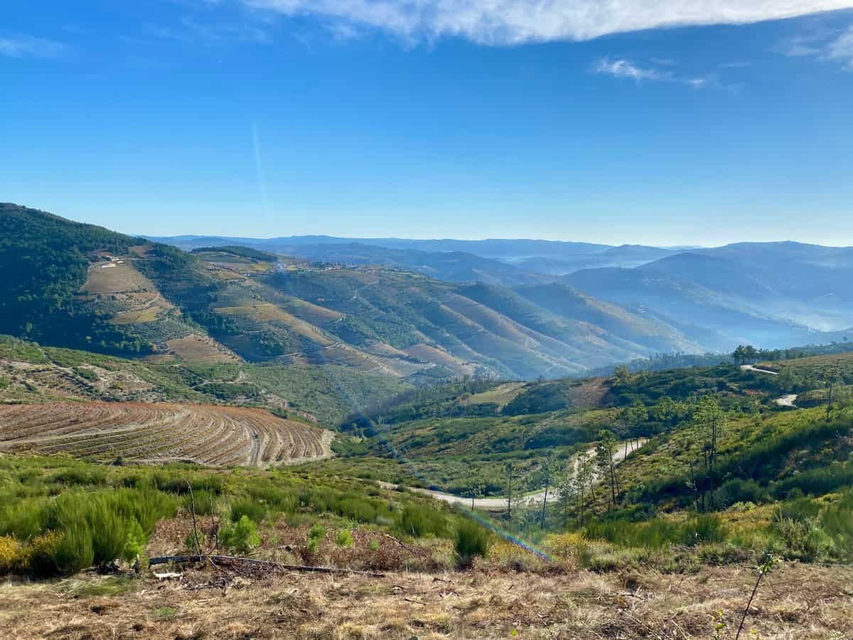 Things to Do in the Douro Valley, Portugal - immerse yourself in the natural beauty