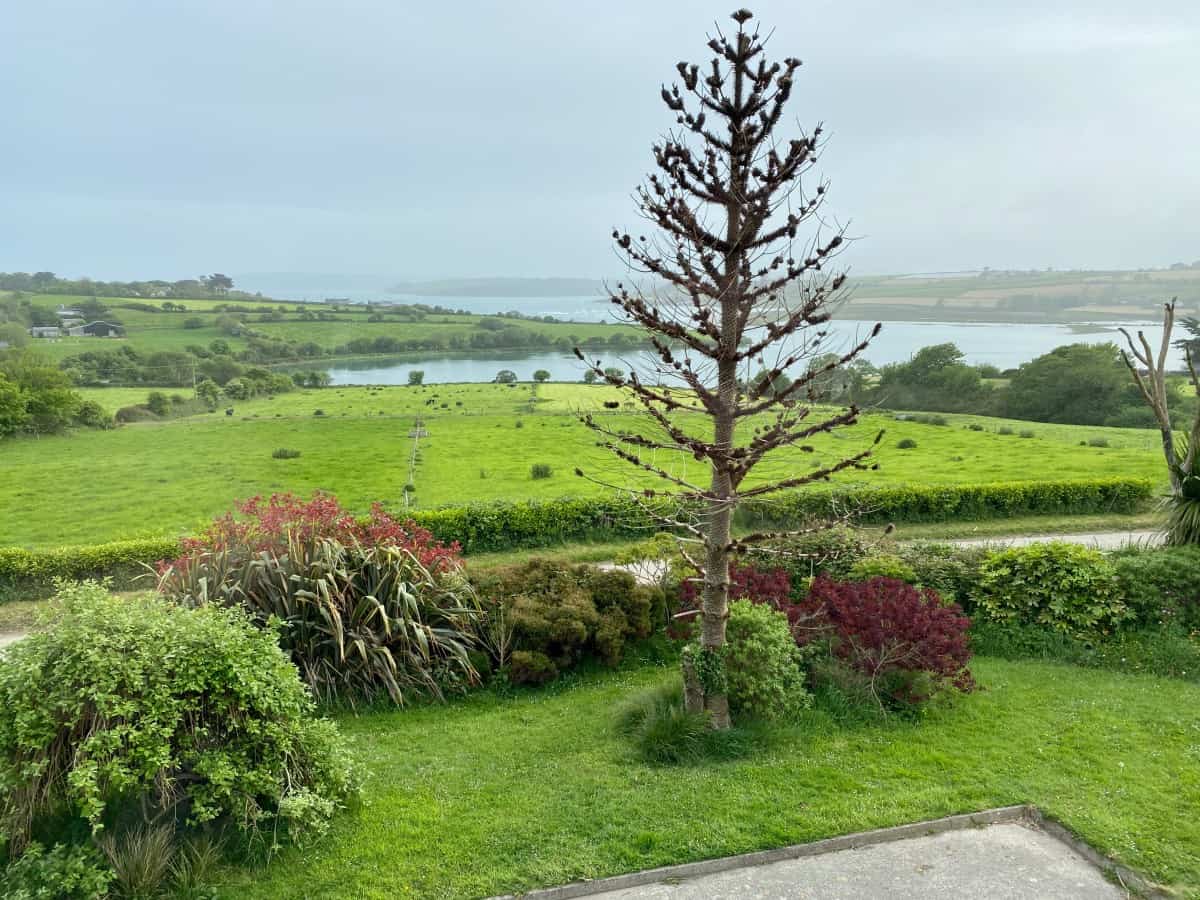 A roadtrip along Ireland's southern coast - things to do in County Cork & Waterford - view from Seafield Farmhouse B&B in Kilbrittain