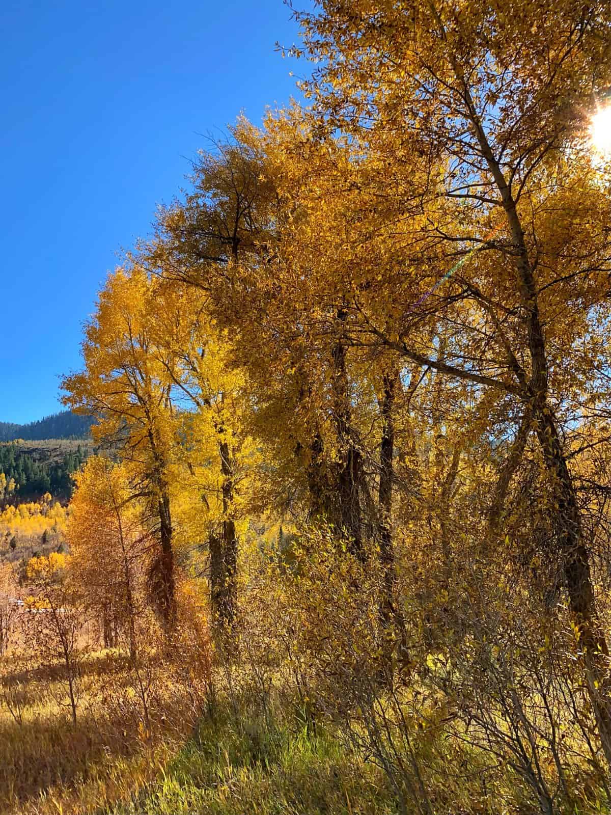 Things to do in Park City in the fall - drive the Mirror Lake Scenic Byway