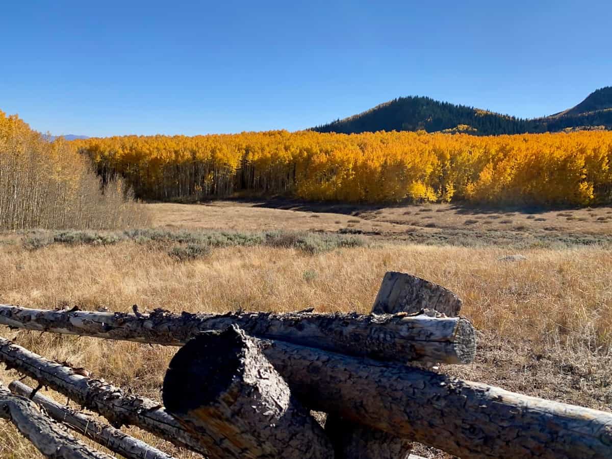 Things to do in Park City in the fall - enjoy the golden aspen leaves on Bonanza Flat Trail