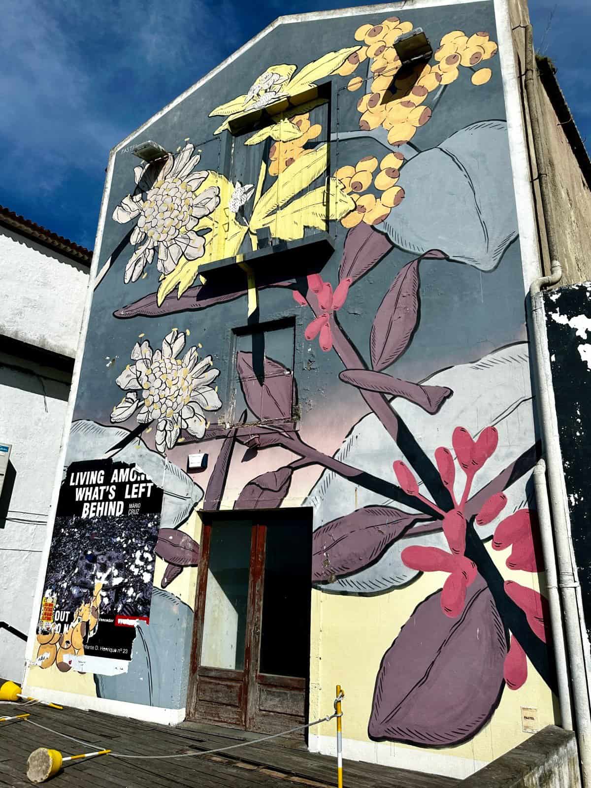 Things to Do in Ponta Delgada (Azores) - wander the narrow streets & find bits of street art